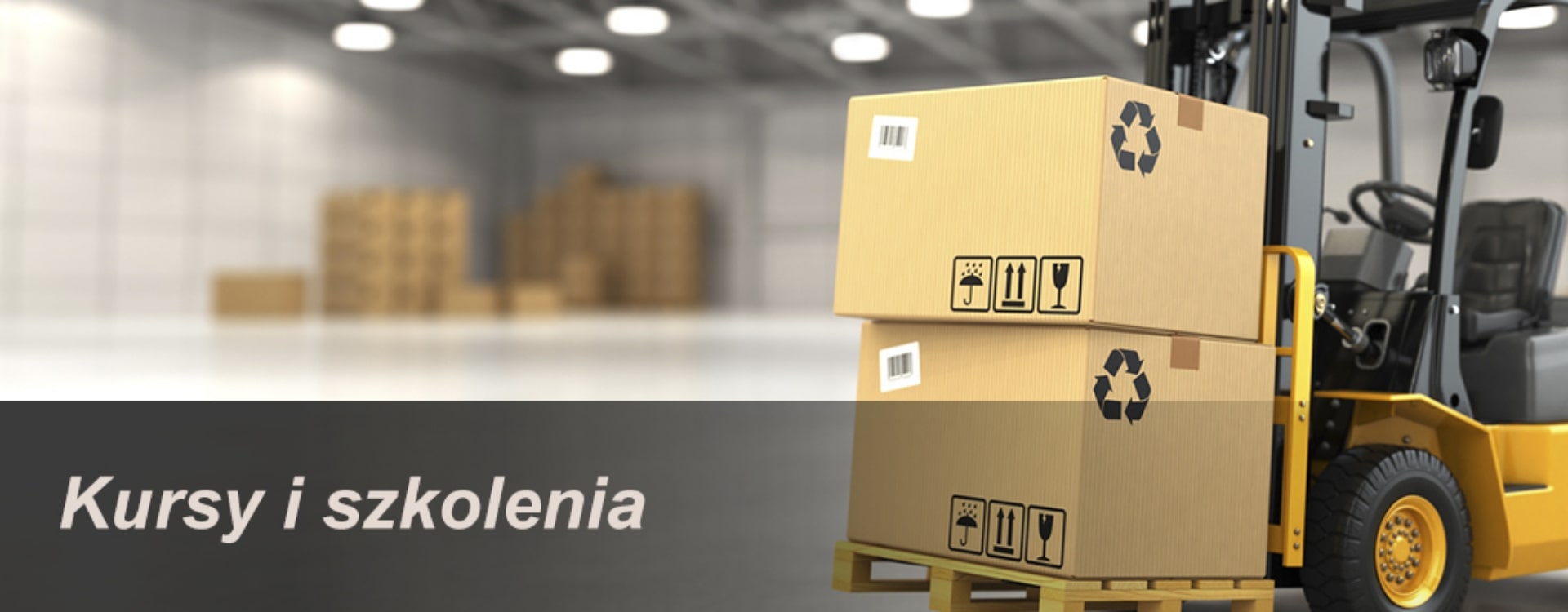 Kartony na wózku widłowych w magazynie